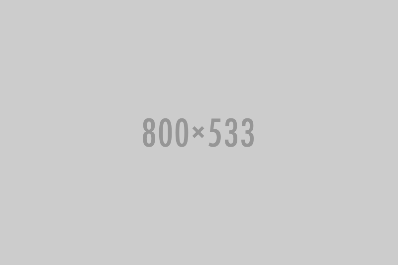 800x533 800x533