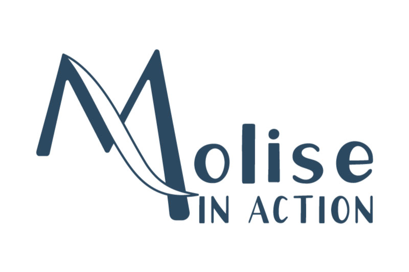 moli-action moli-action